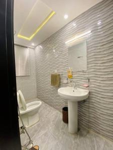a bathroom with a sink and a toilet at 102-Luxury Apartment to Admire your stay in Lahore in Lahore
