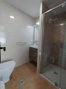 a bathroom with a shower and a toilet and a sink at Morriña Atlantica Duplex Playa America in Nigrán