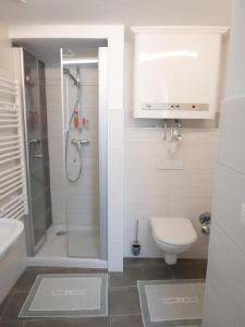 y baño con ducha, aseo y lavamanos. en Appartement 2 Personen Hallein bei Salzburg en Hallein