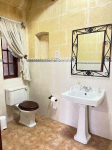 La salle de bains est pourvue de toilettes, d'un lavabo et d'un miroir. dans l'établissement Sant Antnin B&B, à Munxar