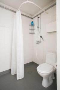 ヘルシンキにある2ndhomes Kluuvi Apartment 2のバスルーム(トイレ、シャワーカーテン付)