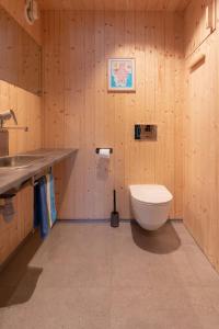 a bathroom with a toilet and a sink at Minkfarmen, Spacious seaside cabin with scenic view in Ramberg