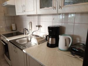 Kuchyň nebo kuchyňský kout v ubytování Apartman Lori