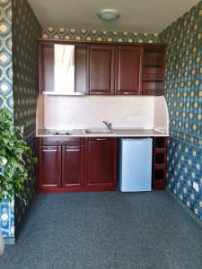 a kitchen with wooden cabinets and a sink at Twins Palace ApartHotel in St. St. Constantine and Helena