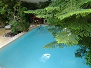 LagnesにあるEcolodge Au fil de l'eau, avec piscine intérieure et parc arboréの緑の植物が生い茂る青い大型スイミングプール