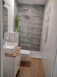 a bathroom with a sink and a toilet in it at Apartament Diament 1 - Jezioro Nyskie in Nysa