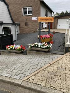 two flower pots with flowers in them on a street at Ferienhaus nähe Bad-Gandersheim mit 5 Schlafzimmer in Winzenburg
