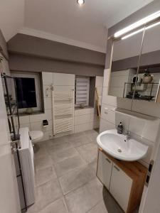 a bathroom with a sink and a toilet and a mirror at City Apartment Paderborn Apartment 7 in Paderborn
