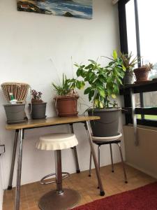 une table avec des plantes en pot assise au-dessus dans l'établissement T1 chambre d'amour, à Anglet