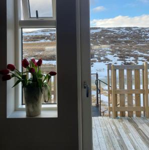 eine Vase mit roten Rosen im Fenster in der Unterkunft Lindarhóll Guesthouse in Stóri-Bakki