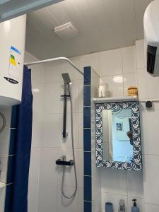 a bathroom with a shower and a mirror at appartement T2 porte de Pantin Métro Hoche in Le Pré-Saint-Gervais