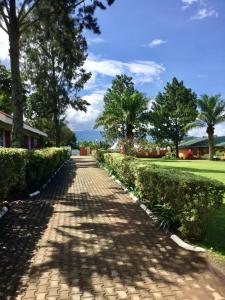 a brick path in a park with trees at ATACO COUNTRY RESORT in Fort Portal