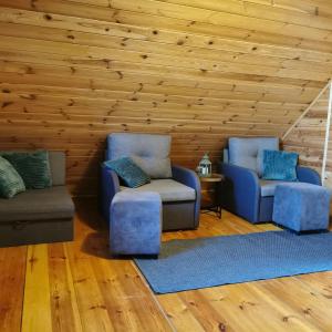 華沙的住宿－Dream Forest Cabin，客厅配有两把椅子和一张沙发