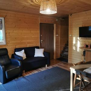 ein Wohnzimmer mit einem Sofa und einem TV in der Unterkunft Dream Forest Cabin in Warschau