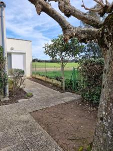 a tree in front of a house with a fence at L'hibiscus maison 4 personnes in Dolus d'Oléron