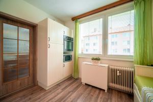 a kitchen with a refrigerator and a window at Apartmán Loučná nad Desnou in Loučná nad Desnou