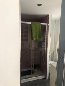 een douche met een groene handdoek in de badkamer bij Loft Adrimar in Santoña