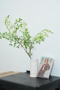 Fotografie z fotogalerie ubytování Chingu Vũng Tàu Home v destinaci Vũng Tàu