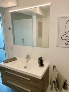 a bathroom with a sink and a mirror at Wachaulodge in Weissenkirchen in der Wachau