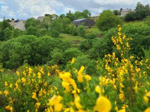 un champ de fleurs jaunes avec des maisons en arrière-plan dans l'établissement Gites La Boletiere, à Saint-Étienne-du-Valdonnez