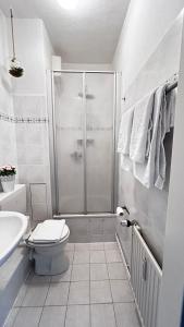 une salle de bains avec douche, toilettes et lavabo dans l'établissement Nord Ost Apartment, à Kiel