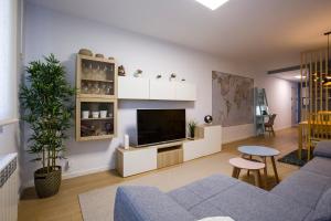a living room with a couch and a tv at TELMO nuevo apartamento & parking gratis en BilbaoZorroza in Bilbao