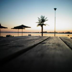 a dock with umbrellas and a palm tree on a beach at Domki Letniskowe in Nielisz