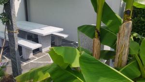 a couple of benches sitting next to a table at Casa Ramerino in Brissago