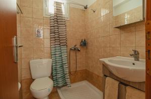 a bathroom with a toilet and a sink and a shower at Basiliki's Apartments in Archangelos