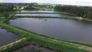 Jaworznik的住宿－Domek nad stawami II - Gospodarstwo Rybackie Jaworznik，相簿中的一張相片