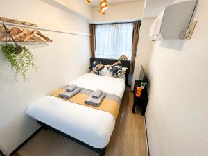 TV a/nebo společenská místnost v ubytování nestay apartment tokyo itabashi