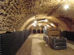 un túnel de una bodega con un montón de barriles de vino en L'Atelier De Dégustation en Vertus