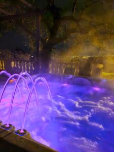 una bañera de hidromasaje con luces moradas en un patio trasero en Villa vue mer, terrasse et spa en Niza