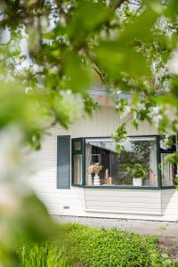 een huis met een raam met twee potplanten erin bij Leva - Logeren in Drenthe in Doldersum
