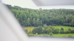 a view of a field and trees from a window at Land-Apartments Netphen in Netphen