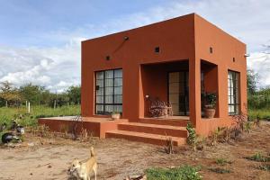 une petite maison orange avec un chien debout devant elle dans l'établissement Kichuguu farmstay cottage, à Mtito Andei