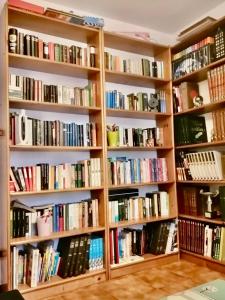 uma biblioteca com prateleiras de madeira cheias de livros em ALTO DA TORRE em Ilha de Arousa