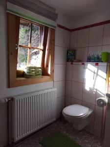 a bathroom with a toilet and a window at FW Schnuckel in 300a Altem Bergbauernhaus 1110m in Plessnitz