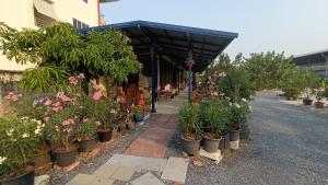 a bunch of potted plants in pots in a garden at PA House Apartment in Bangkok