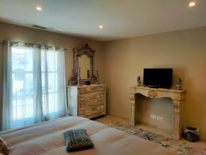 a bedroom with a bed and a television and a fireplace at Le mas de Roussillon in Roussillon