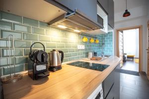 eine Küche mit einer Spüle und einer Arbeitsplatte in der Unterkunft Classy Creation Apartment in Budapest