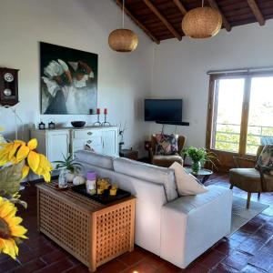 ein Wohnzimmer mit einem Sofa und einem Couchtisch in der Unterkunft Quinta dos Malhadais, Figueira - Farm house in Portimão