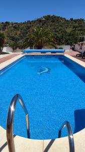 une grande piscine bleue avec de l'eau bleue dans l'établissement B&B Casa El Corasueño, à Almogía