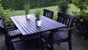 ヴィンターベルクにあるBuhr Apartmentの鉢植えの木製テーブル