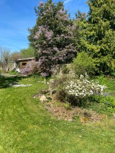 un jardin avec un arbre et des fleurs dans une cour dans l'établissement Atipyk'ododo, à Saint-James