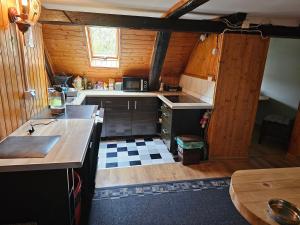 a small kitchen with wooden walls and wooden floors at Osmelakowa Dolina in Spalona