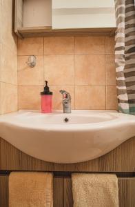 A bathroom at Basiliki's Apartments