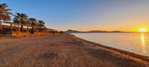 a beach with palm trees and the sunset in the background at Casa Isleta in La Manga del Mar Menor