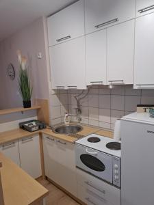 Kuchyň nebo kuchyňský kout v ubytování Apartman Marger