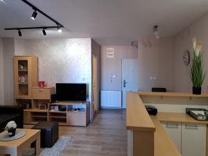 een woonkamer met een bank en een televisie bij Apartman Marger in Niš